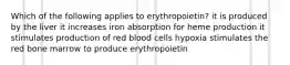 Which of the following applies to erythropoietin? it is produced by the liver it increases iron absorption for heme production it stimulates production of red blood cells hypoxia stimulates the red bone marrow to produce erythropoietin