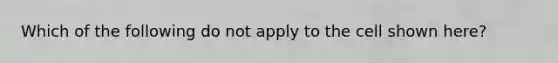 Which of the following do not apply to the cell shown here?