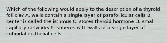 Which of the following would apply to the description of a thyroid follicle? A. walls contain a single layer of parafollicular cells B. center is called the isthmus C. stores thyroid hormone D. small capillary networks E. spheres with walls of a single layer of cuboidal epithelial cells