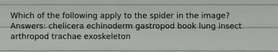 Which of the following apply to the spider in the image? Answers: chelicera echinoderm gastropod book lung insect arthropod trachae exoskeleton