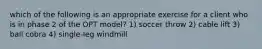 which of the following is an appropriate exercise for a client who is in phase 2 of the OPT model? 1) soccer throw 2) cable lift 3) ball cobra 4) single-leg windmill