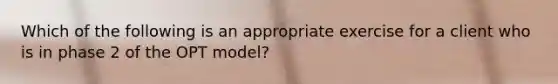 Which of the following is an appropriate exercise for a client who is in phase 2 of the OPT model?