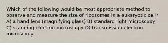 Which of the following would be most appropriate method to observe and measure the size of ribosomes in a eukaryotic cell? A) a hand lens (magnifying glass) B) standard light microscopy C) scanning electron microscopy D) transmission electron microscopy