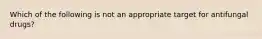 Which of the following is not an appropriate target for antifungal drugs?