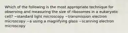 Which of the following is the most appropriate technique for observing and measuring the size of ribosomes in a eukaryotic cell? ~standard light microscopy ~transmission electron microscopy ~a using a magnifying glass ~scanning electron microscopy