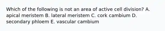 Which of the following is not an area of active cell division? A. apical meristem B. lateral meristem C. cork cambium D. secondary phloem E. vascular cambium