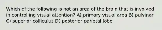 Which of the following is not an area of the brain that is involved in controlling visual attention? A) primary visual area B) pulvinar C) superior colliculus D) posterior parietal lobe