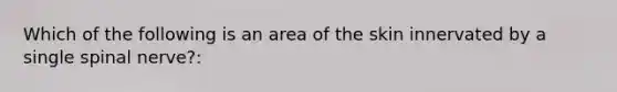 Which of the following is an area of the skin innervated by a single spinal nerve?: