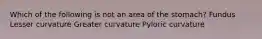 Which of the following is not an area of the stomach? Fundus Lesser curvature Greater curvature Pyloric curvature