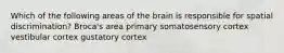 Which of the following areas of the brain is responsible for spatial discrimination? Broca's area primary somatosensory cortex vestibular cortex gustatory cortex