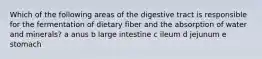 Which of the following areas of the digestive tract is responsible for the fermentation of dietary fiber and the absorption of water and minerals? a anus b large intestine c ileum d jejunum e stomach