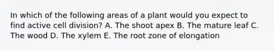 In which of the following areas of a plant would you expect to find active cell division? A. The shoot apex B. The mature leaf C. The wood D. The xylem E. The root zone of elongation