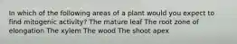 In which of the following areas of a plant would you expect to find mitogenic activity? The mature leaf The root zone of elongation The xylem The wood The shoot apex