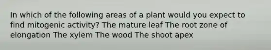 In which of the following areas of a plant would you expect to find mitogenic activity? The mature leaf The root zone of elongation The xylem The wood The shoot apex