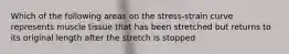 Which of the following areas on the stress-strain curve represents muscle tissue that has been stretched but returns to its original length after the stretch is stopped