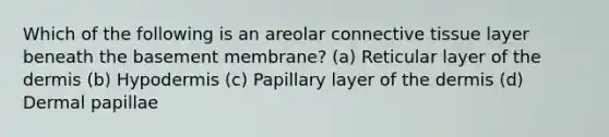 Which of the following is an areolar connective tissue layer beneath the basement membrane? (a) Reticular layer of the dermis (b) Hypodermis (c) Papillary layer of the dermis (d) Dermal papillae