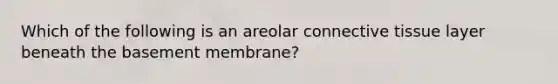 Which of the following is an areolar connective tissue layer beneath the basement membrane?