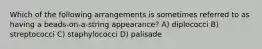 Which of the following arrangements is sometimes referred to as having a beads-on-a-string appearance? A) diplococci B) streptococci C) staphylococci D) palisade