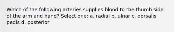 Which of the following arteries supplies blood to the thumb side of the arm and hand? Select one: a. radial b. ulnar c. dorsalis pedis d. posterior