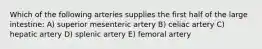 Which of the following arteries supplies the first half of the large intestine: A) superior mesenteric artery B) celiac artery C) hepatic artery D) splenic artery E) femoral artery