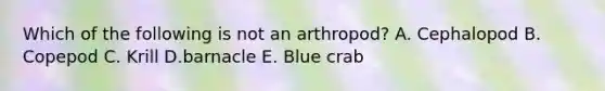 Which of the following is not an arthropod? A. Cephalopod B. Copepod C. Krill D.barnacle E. Blue crab