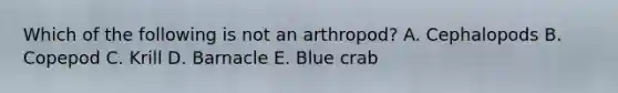 Which of the following is not an arthropod? A. Cephalopods B. Copepod C. Krill D. Barnacle E. Blue crab