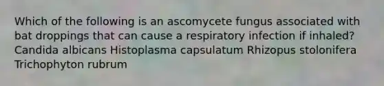 Which of the following is an ascomycete fungus associated with bat droppings that can cause a respiratory infection if inhaled? Candida albicans Histoplasma capsulatum Rhizopus stolonifera Trichophyton rubrum