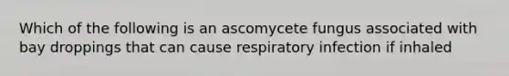 Which of the following is an ascomycete fungus associated with bay droppings that can cause respiratory infection if inhaled