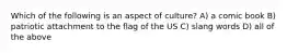 Which of the following is an aspect of culture? A) a comic book B) patriotic attachment to the flag of the US C) slang words D) all of the above