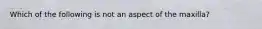 Which of the following is not an aspect of the maxilla?