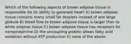 Which of the following aspects of brown adipose tissue is responsible for its ability to generate heat? A) brown adipose tissue contains many small fat droplets instead of one large globule B) blood flow to brown adipose tissue is larger than to white adipose tissue C) brown adipose tissue has receptors for norepinephrine D) the uncoupling protein allows fatty acid oxidation without ATP production E) none of the above