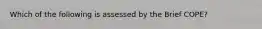 Which of the following is assessed by the Brief COPE?