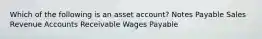 Which of the following is an asset account? Notes Payable Sales Revenue Accounts Receivable Wages Payable