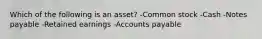 Which of the following is an asset? -Common stock -Cash -Notes payable -Retained earnings -Accounts payable