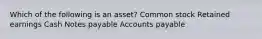 Which of the following is an asset? Common stock Retained earnings Cash Notes payable Accounts payable