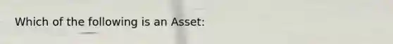 Which of the following is an Asset: