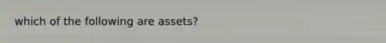 which of the following are assets?