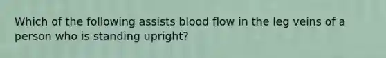 Which of the following assists blood flow in the leg veins of a person who is standing upright?