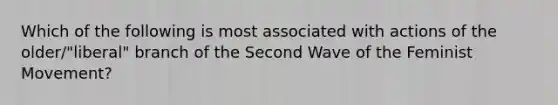 Which of the following is most associated with actions of the older/"liberal" branch of the Second Wave of the Feminist Movement?