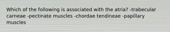 Which of the following is associated with the atria? -trabecular carneae -pectinate muscles -chordae tendineae -papillary muscles