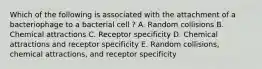 Which of the following is associated with the attachment of a bacteriophage to a bacterial cell ? A. Random collisions B. Chemical attractions C. Receptor specificity D. Chemical attractions and receptor specificity E. Random collisions, chemical attractions, and receptor specificity