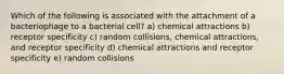 Which of the following is associated with the attachment of a bacteriophage to a bacterial cell? a) chemical attractions b) receptor specificity c) random collisions, chemical attractions, and receptor specificity d) chemical attractions and receptor specificity e) random collisions