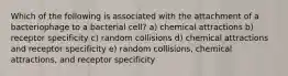 Which of the following is associated with the attachment of a bacteriophage to a bacterial cell? a) chemical attractions b) receptor specificity c) random collisions d) chemical attractions and receptor specificity e) random collisions, chemical attractions, and receptor specificity