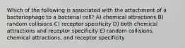 Which of the following is associated with the attachment of a bacteriophage to a bacterial cell? A) chemical attractions B) random collisions C) receptor specificity D) both chemical attractions and receptor specificity E) random collisions, chemical attractions, and receptor specificity