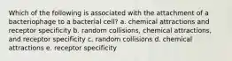 Which of the following is associated with the attachment of a bacteriophage to a bacterial cell? a. chemical attractions and receptor specificity b. random collisions, chemical attractions, and receptor specificity c. random collisions d. chemical attractions e. receptor specificity