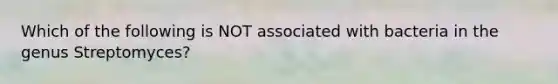 Which of the following is NOT associated with bacteria in the genus Streptomyces?
