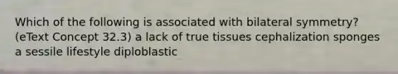 Which of the following is associated with bilateral symmetry? (eText Concept 32.3) a lack of true tissues cephalization sponges a sessile lifestyle diploblastic