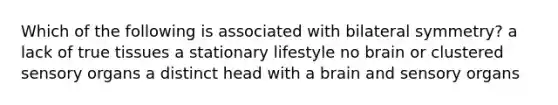 Which of the following is associated with bilateral symmetry? a lack of true tissues a stationary lifestyle no brain or clustered sensory organs a distinct head with a brain and sensory organs