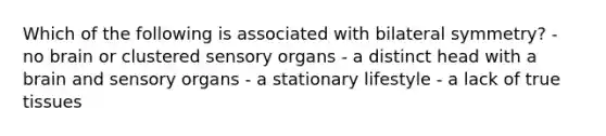 Which of the following is associated with bilateral symmetry? - no brain or clustered sensory organs - a distinct head with a brain and sensory organs - a stationary lifestyle - a lack of true tissues