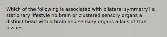 Which of the following is associated with bilateral symmetry? a stationary lifestyle no brain or clustered sensory organs a distinct head with a brain and sensory organs a lack of true tissues